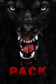 The Pack