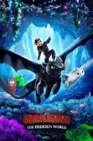 How to Train Your Dragon: The Hidden World